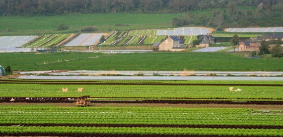 Le Triangle vert : dynamique agri-urbaine d'Île-de-France