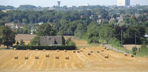 L’agriculture caennaise : rurale, périurbaine ou urbaine ?