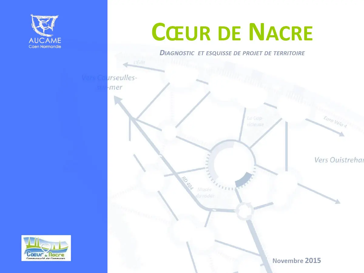 Diagnostic et esquisse de projet de territoire de la cdc Coeur de Nacre
