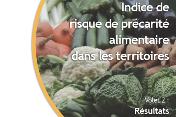 Indice de risque de précarité alimentaire dans les territoires - volet 2 : Résultats