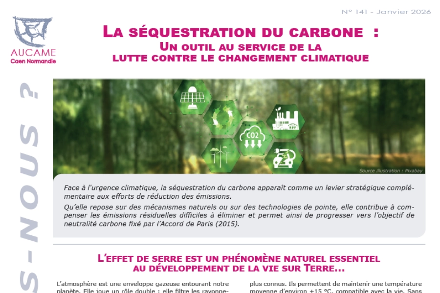 QSN #141 - La séquestration du carbone : un outil au service de la lutte contre le changement climatique