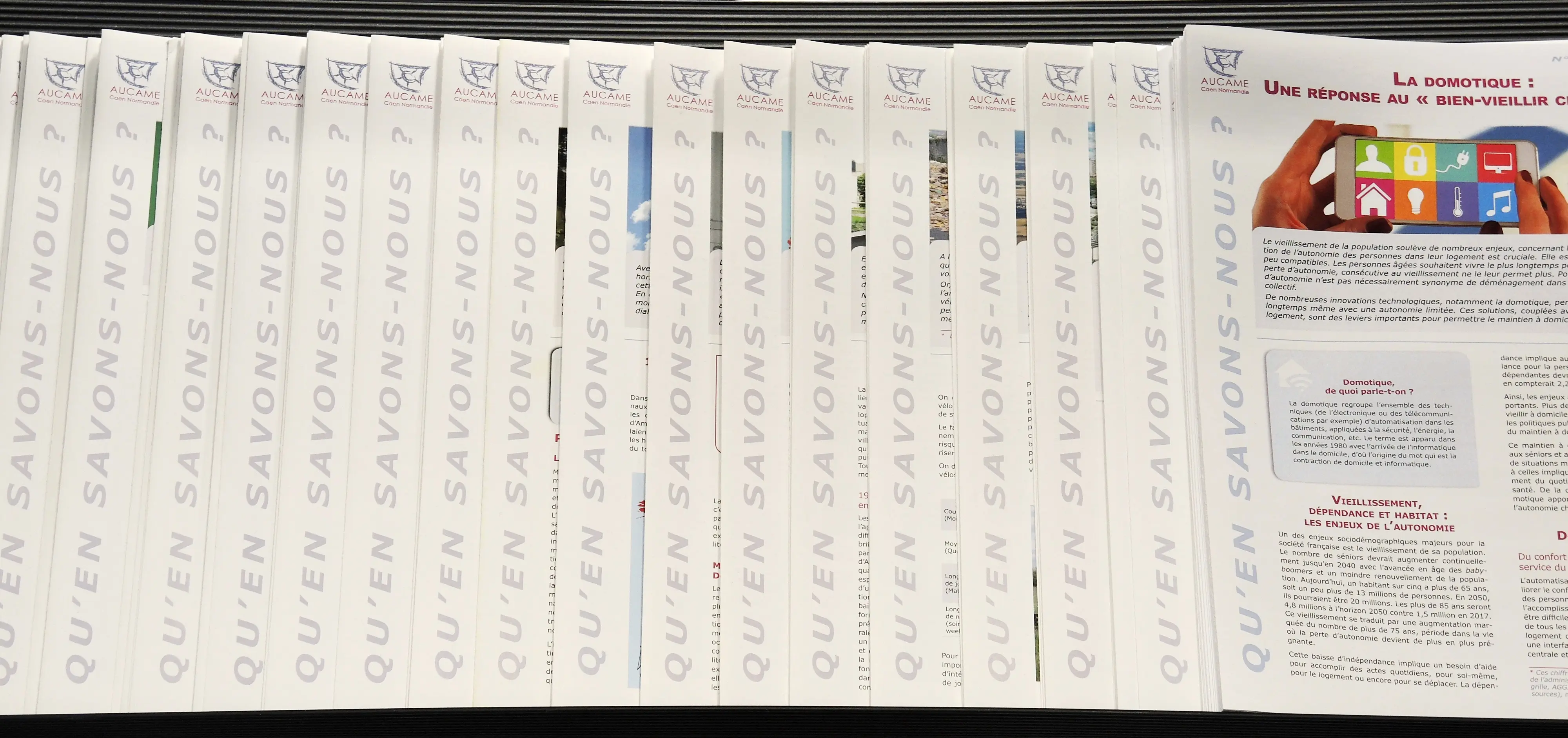 QSN #100 - Les QSN, marqueurs des activités de l'agence et des transitions à l’œuvre