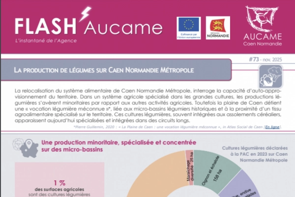 Flash' #73 : La production de légumes sur Caen Normandie Métropole